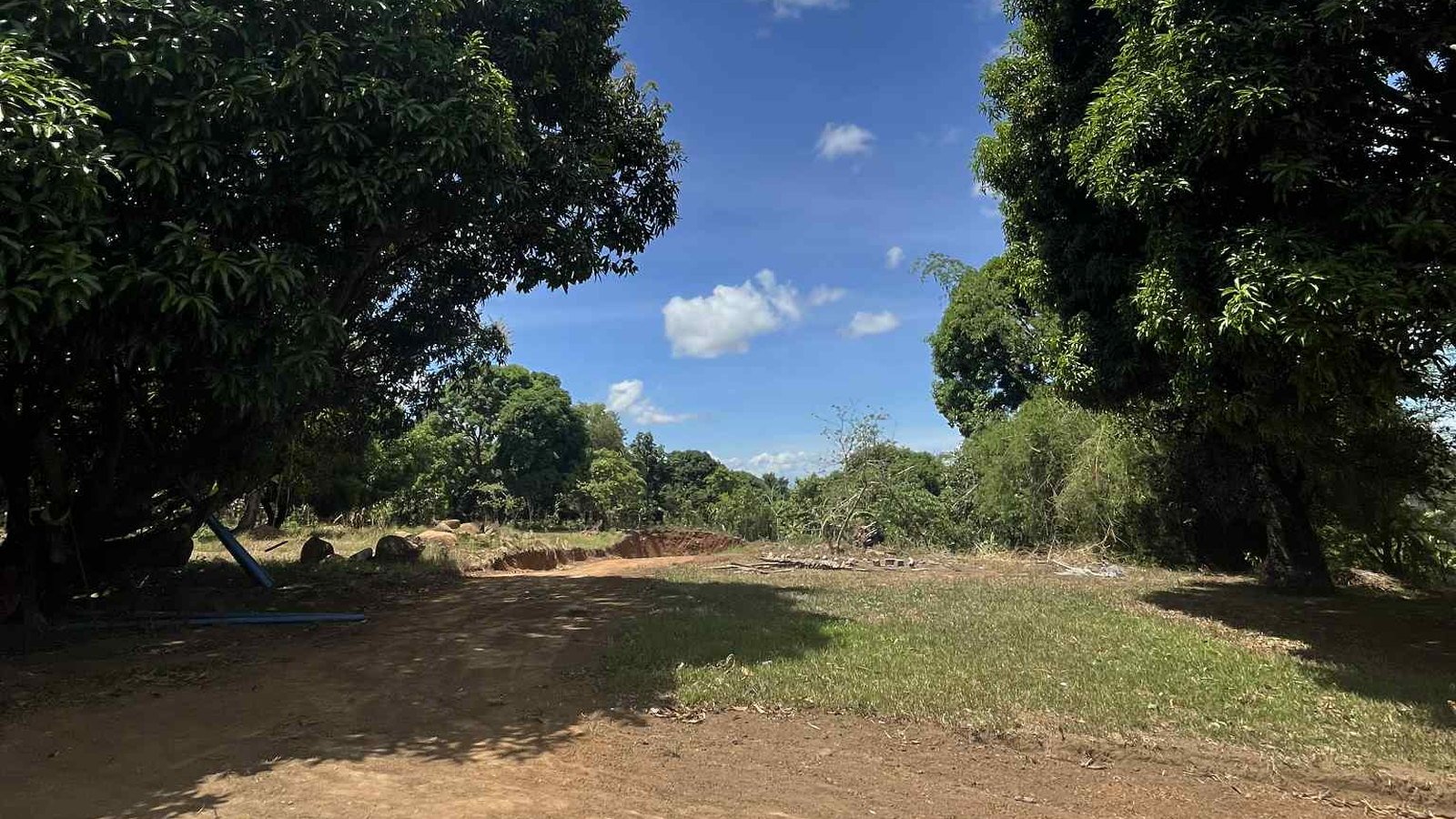 Tree-lined farm property at LCG Hillside Farms 1