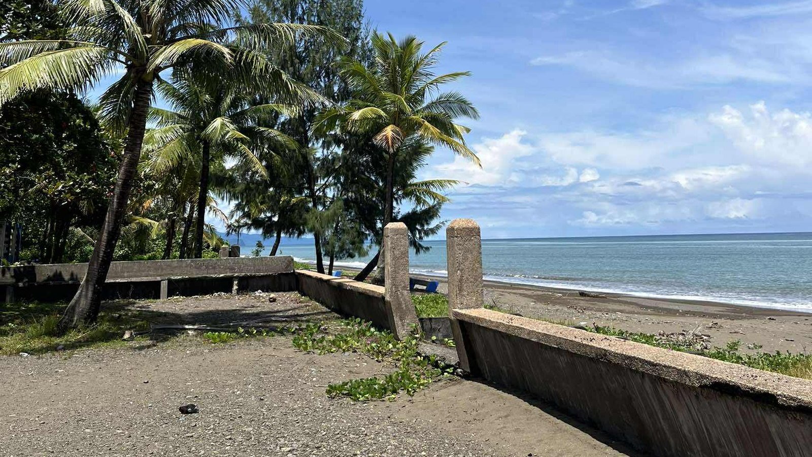 Beachfront and coconut trees at Silangan Sunrise