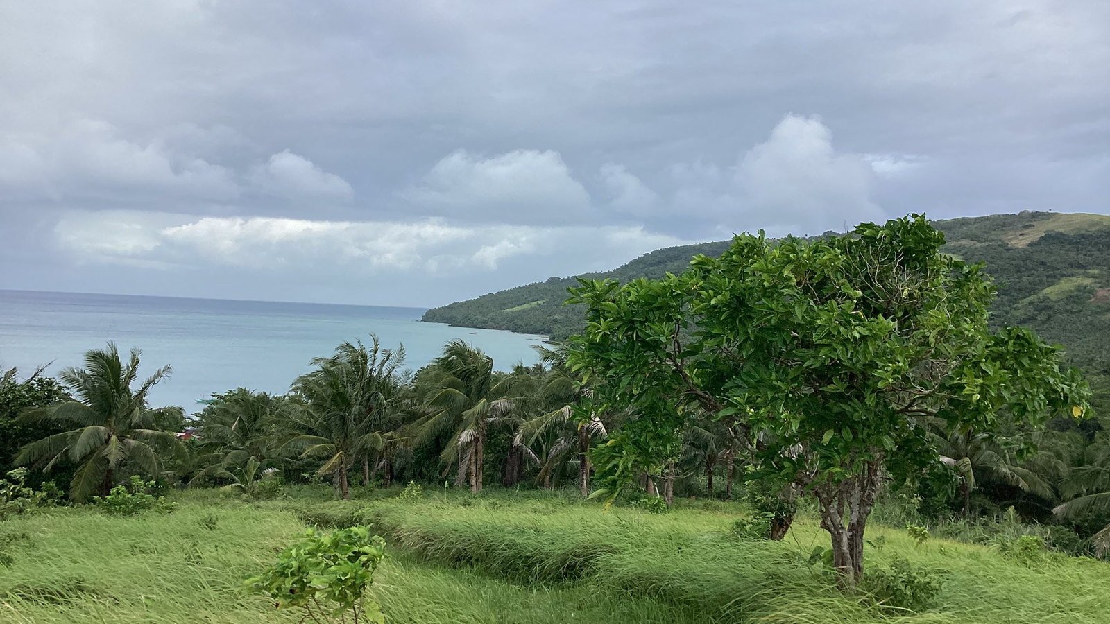 Coastal hillside and beachfront scenery at Whitesands